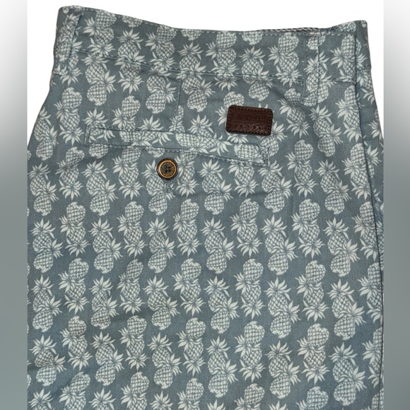 🍍NWT! Jachs Pineapple Twill Shorts - Picture 3 of 9